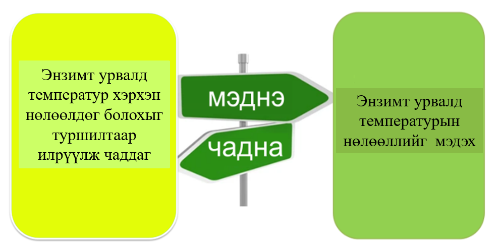 Мэдлээ | Цахим контент